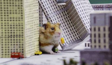 are hamsters good pets