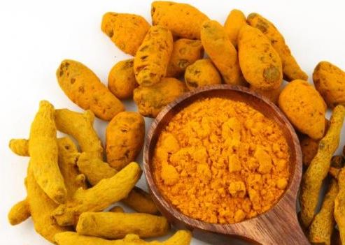Is Turmeric Safe for Dogs?