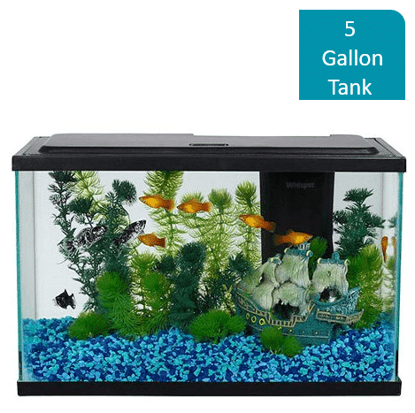 how many fish can be in a fishdom aquarium